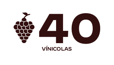 40_vinicolas_home1