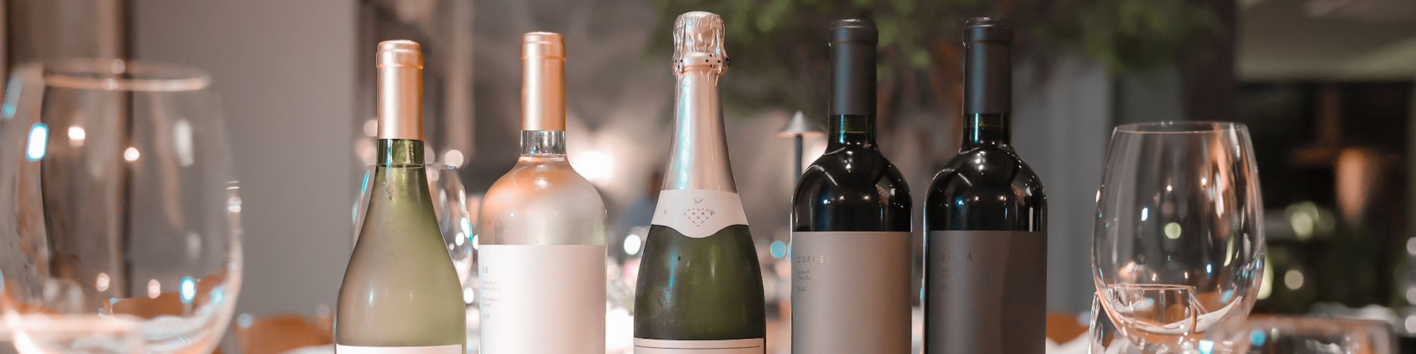 slide_degustacao_premium